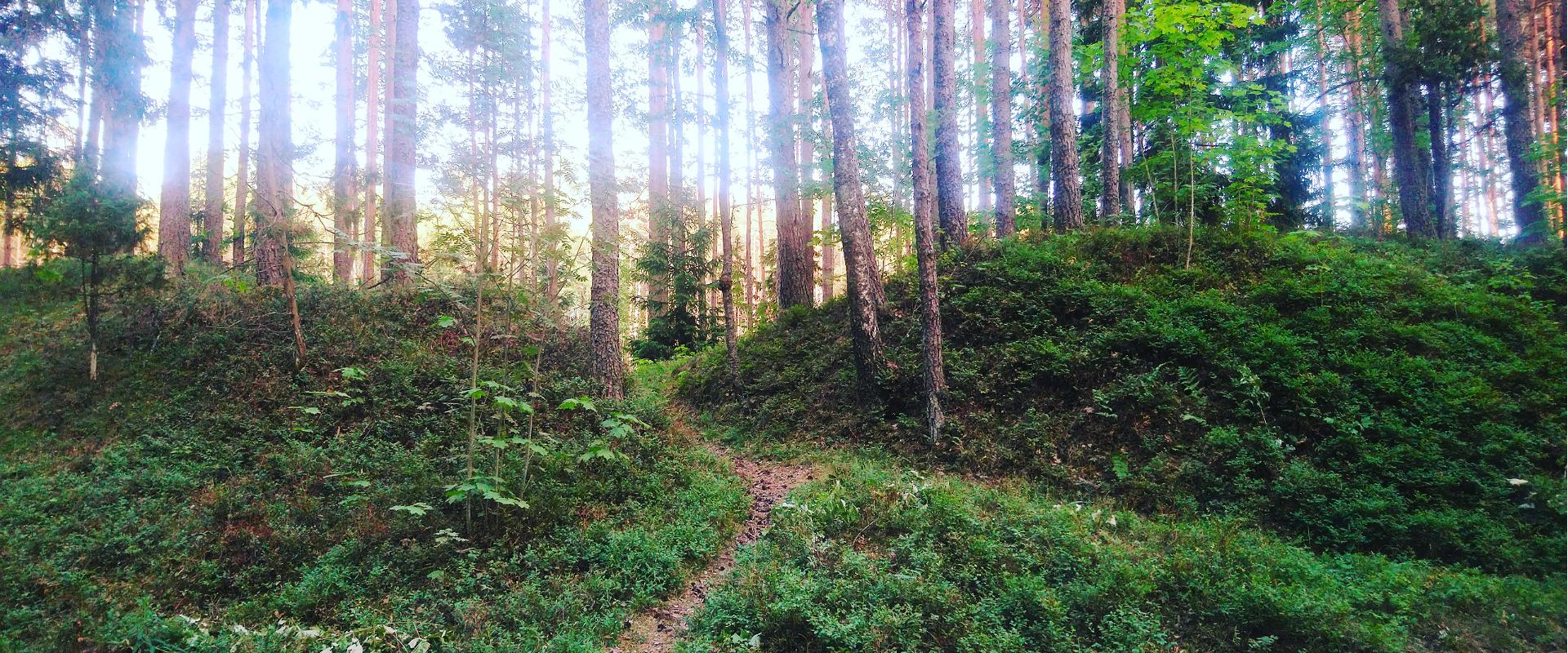 Kallaste talu orienteerumismäng toimub Padisel, Kallaste talu ümbruskondses metsas. Maastik on mitmekülgne ja huvitav, tasane männimets vaheldub Kloos