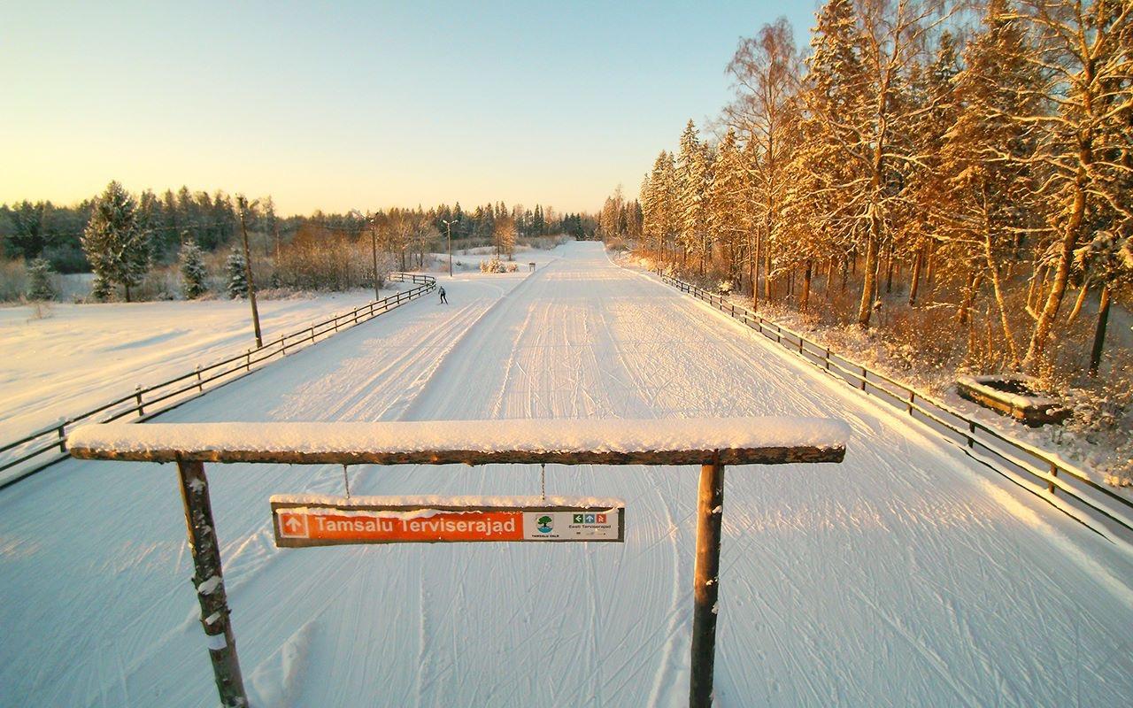 Tamsalu Spordikompleksi suusarajad