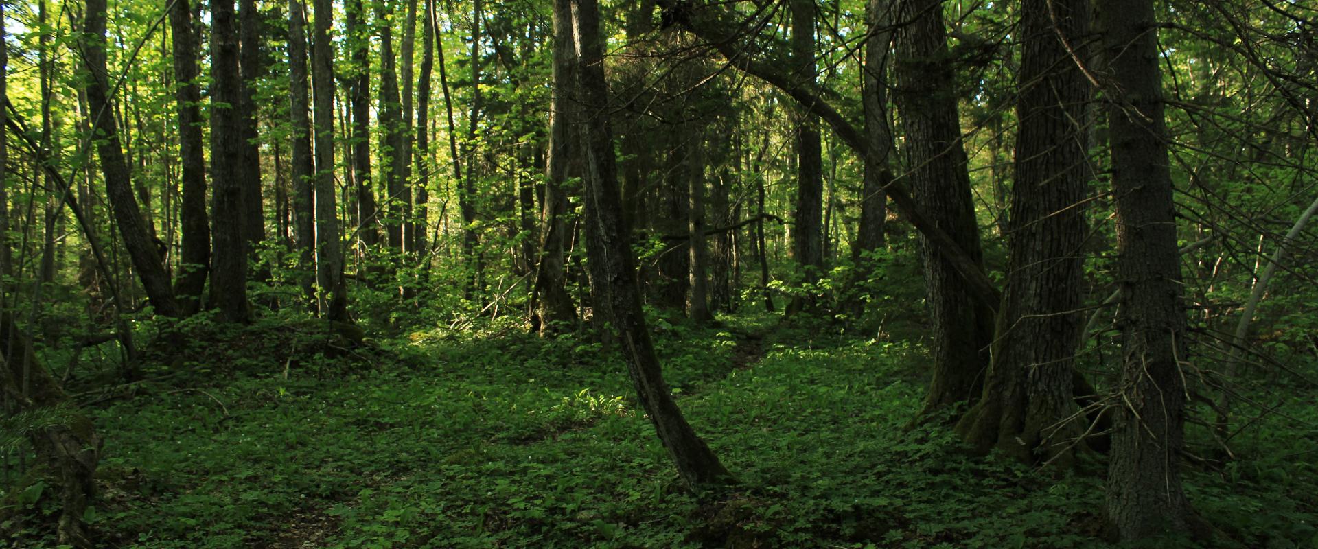 Naturlehrpfad Audaku