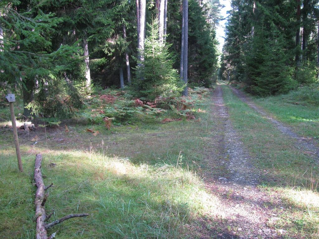 Huitbergi hiking trail and limestone hill
