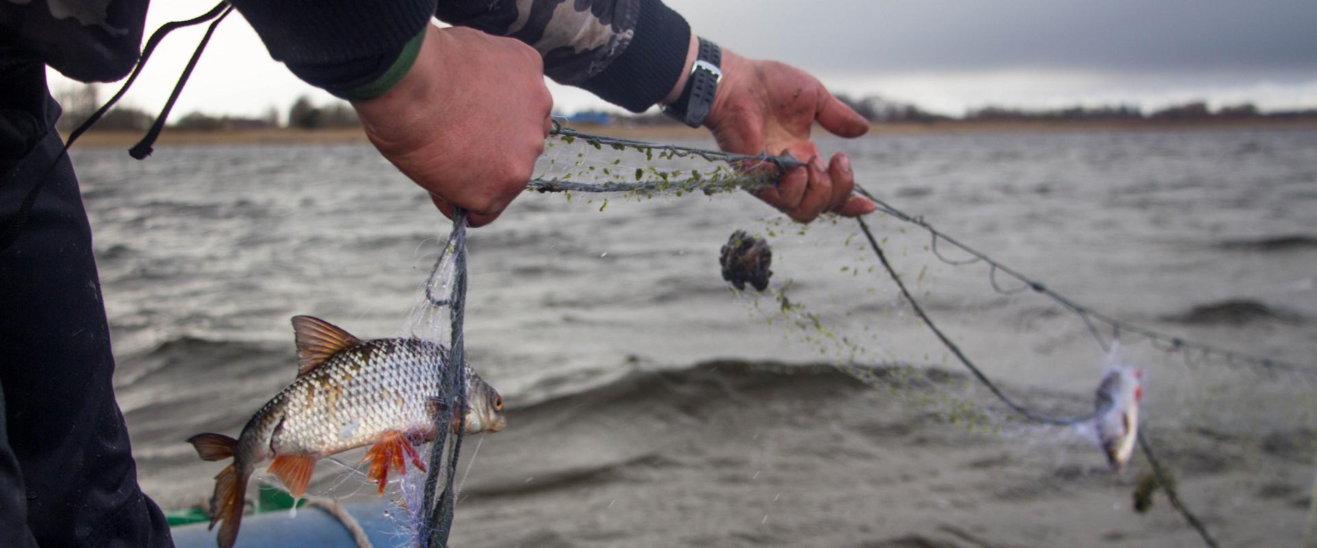 Peipsi külaelu õpituba "Sibulatee subbotnik"