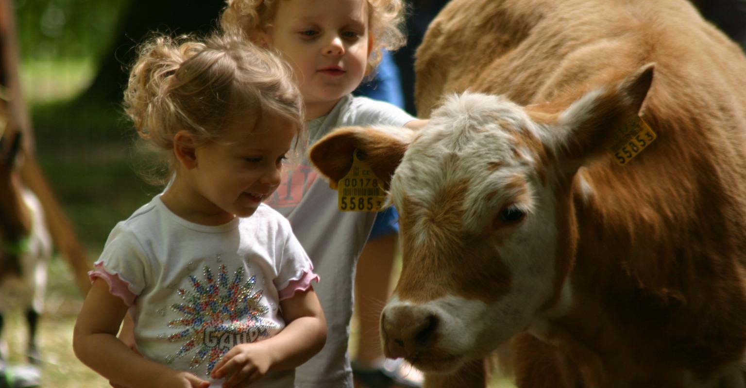 Ranna Rantšo Farm Animal Shelter