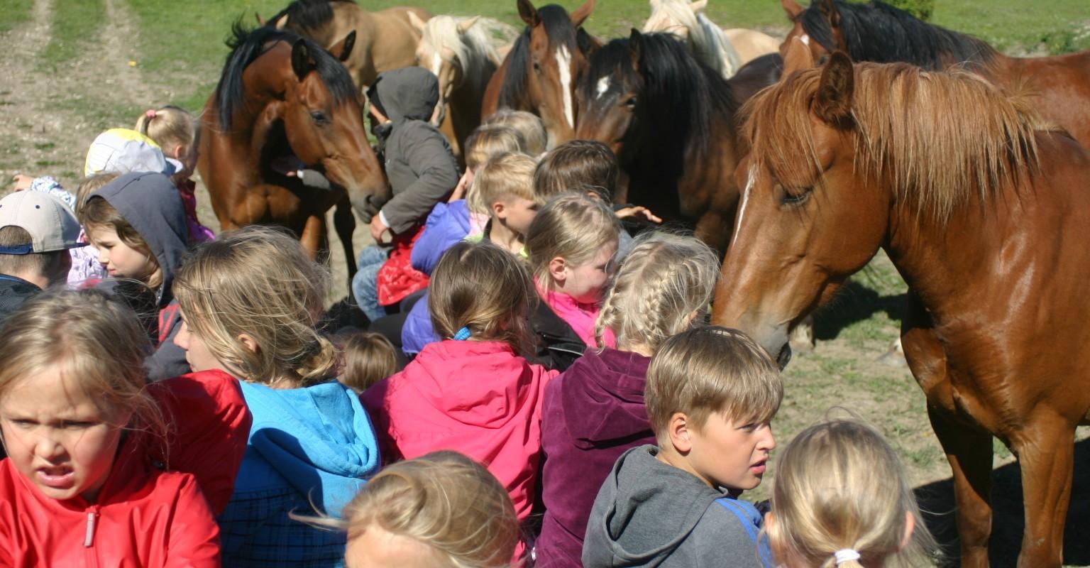 Ranna Rantšo Farm Animal Shelter