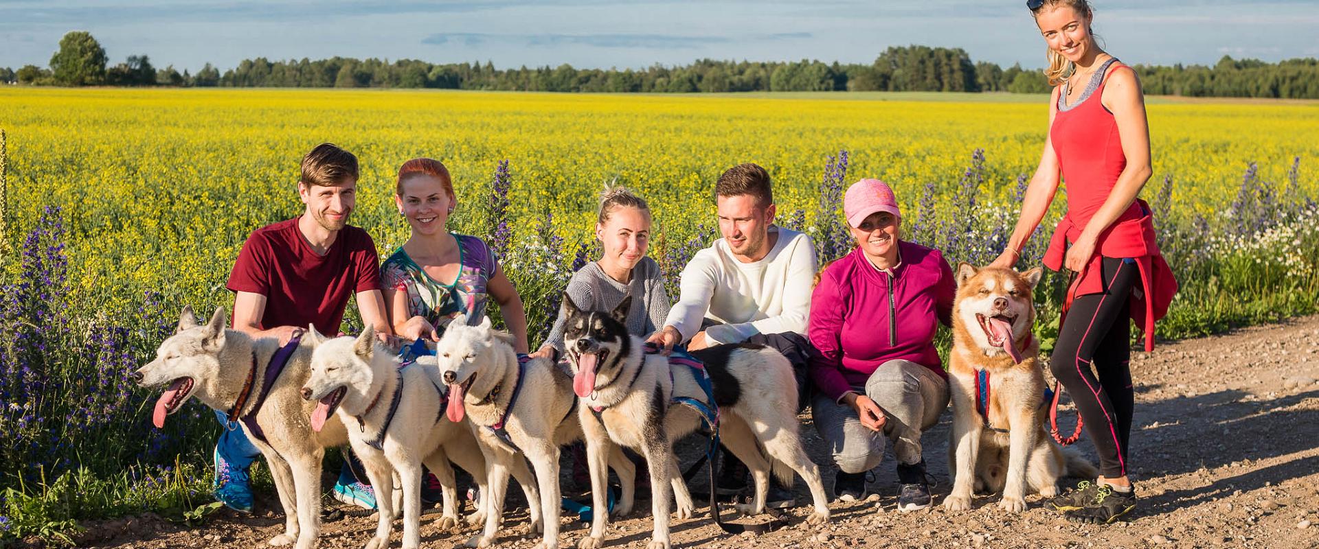 Vetokoirien perhetila Huskypark - odotamme sinua kylään!