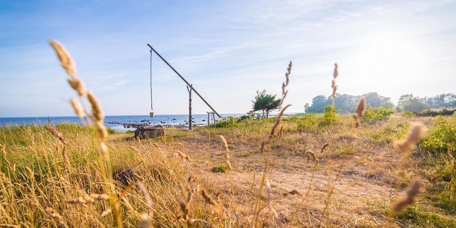 Hiiumaa Muuseum pakub ühepäevaseid temaatilisi muuseumituure. Merenduse, kalanduse ja tööstuse tuur annab suurepärase sissevaate Hiiumaa ajalukku. Tee