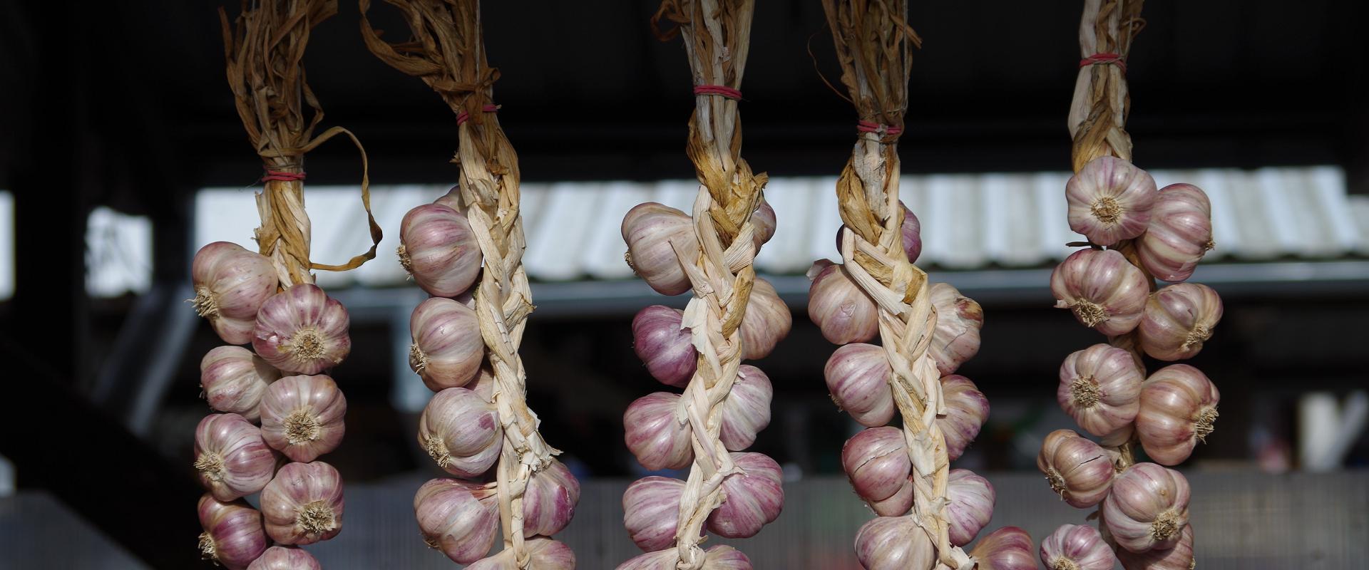 Freiluftmarkt in Tartu: Knoblauchzöpfe hängen in einer Reihe