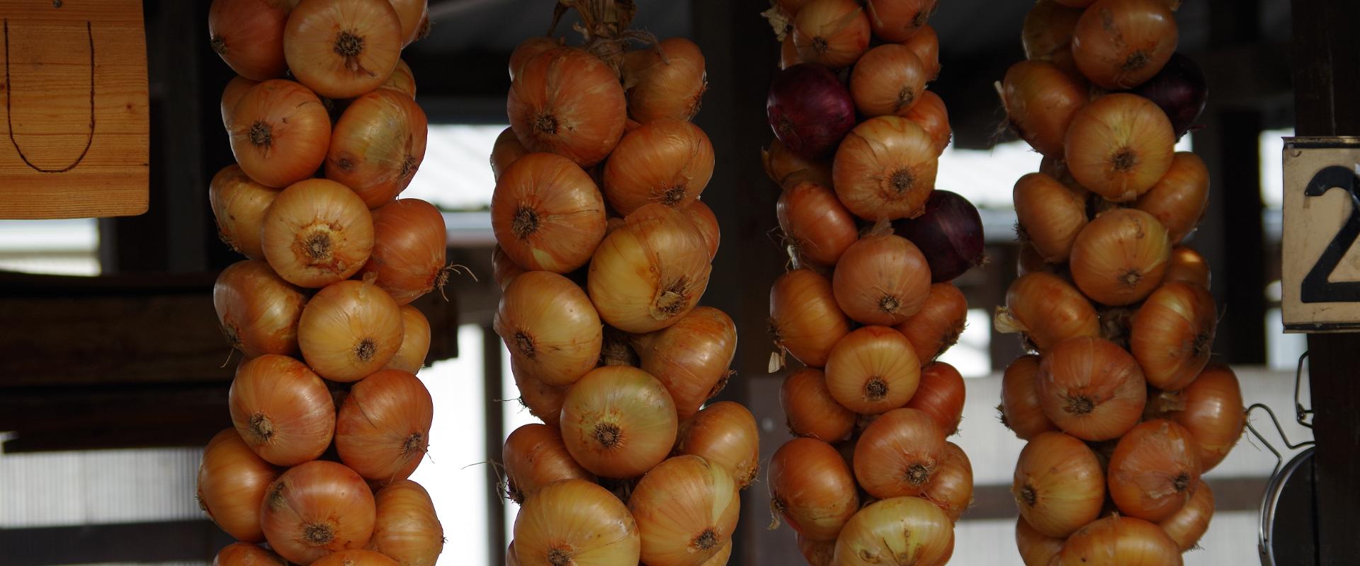 Freiluftmarkt in Tartu: hängende Zwiebelzöpfe