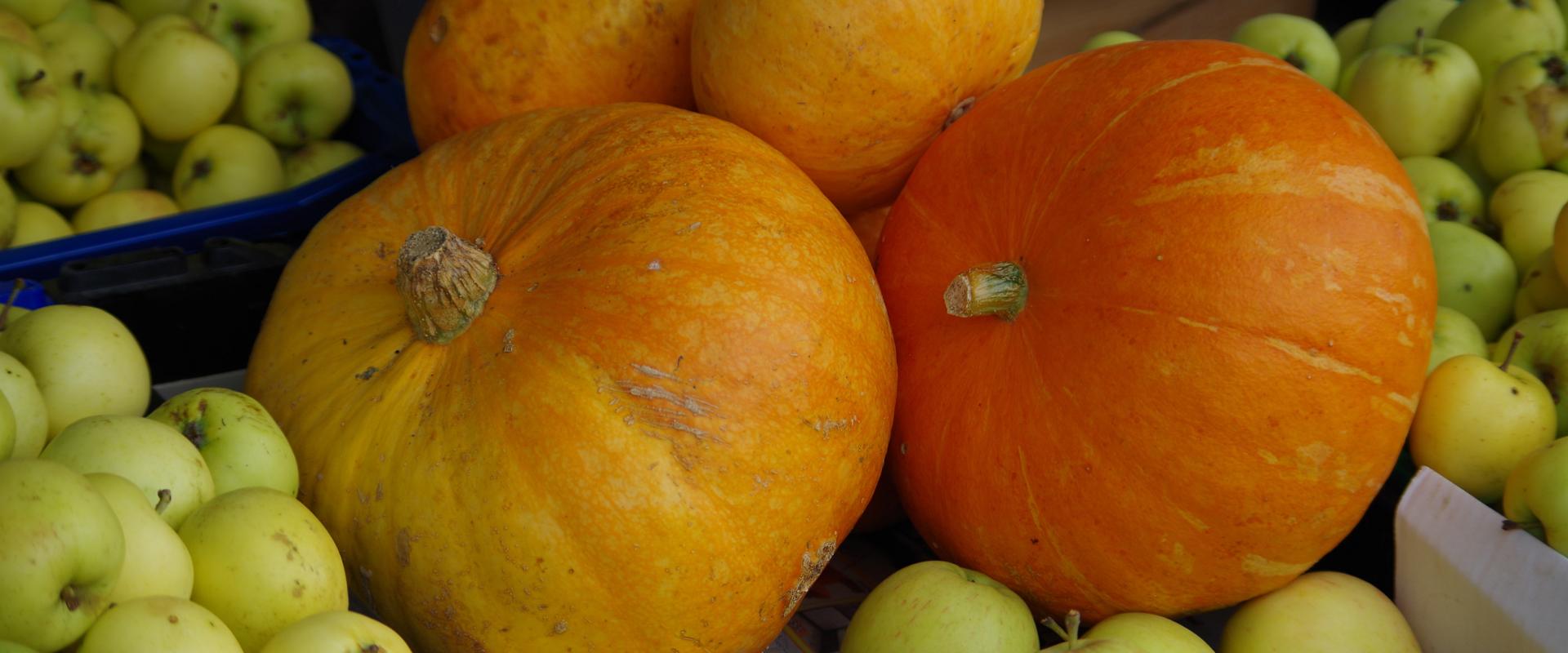 Tartu Market, pumpkins and apples, both large and small