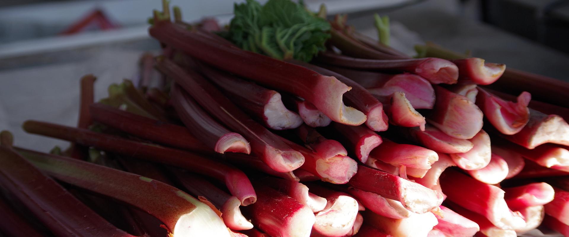 Tartu Market, rhubarb