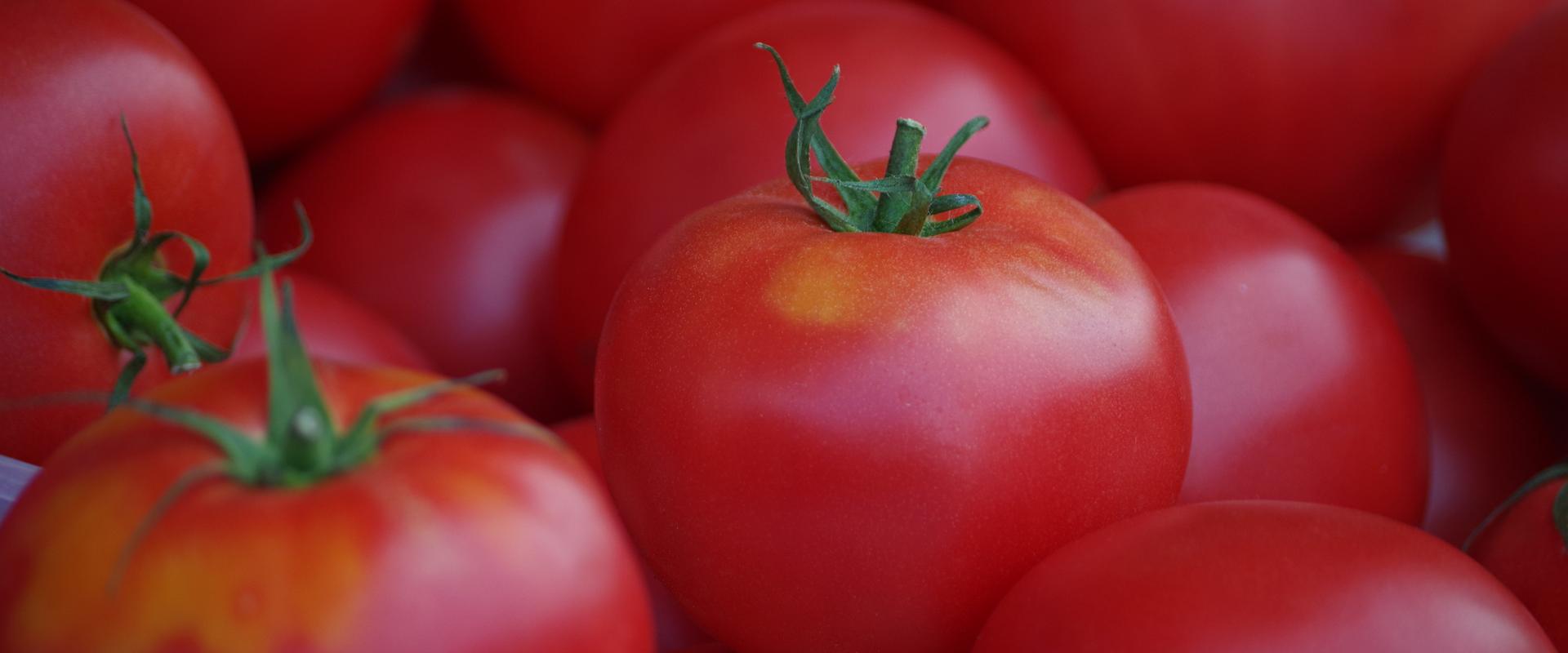 Freiluftmarkt in Tartu: reife Tomaten