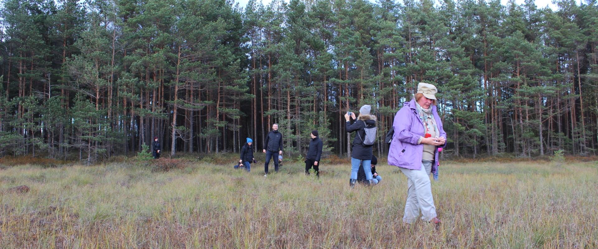 Fußwanderungen des Naturbauernhofs Linnumäe