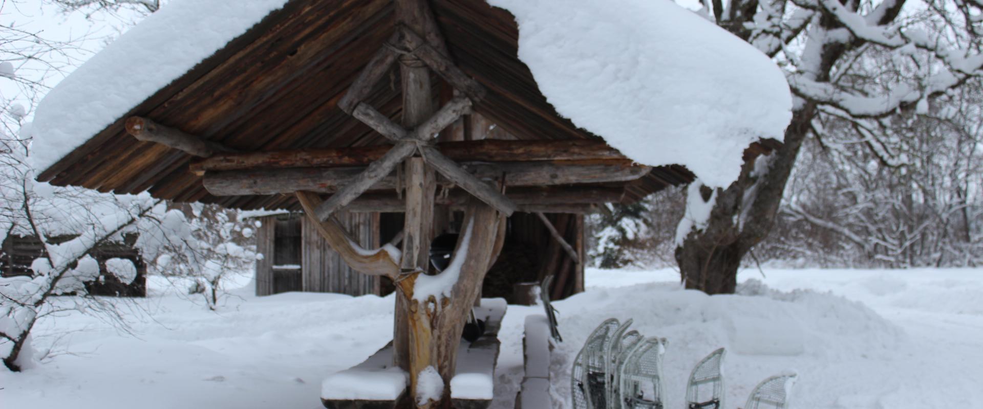 Snowshoe hike in Linnumäe Nature Farm