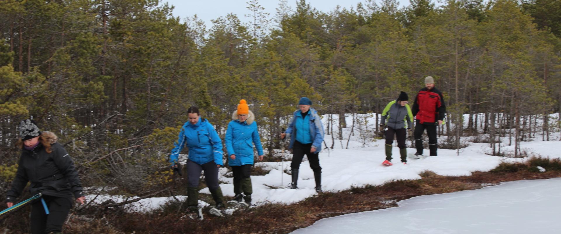 Snowshoe hike in Linnumäe Nature Farm