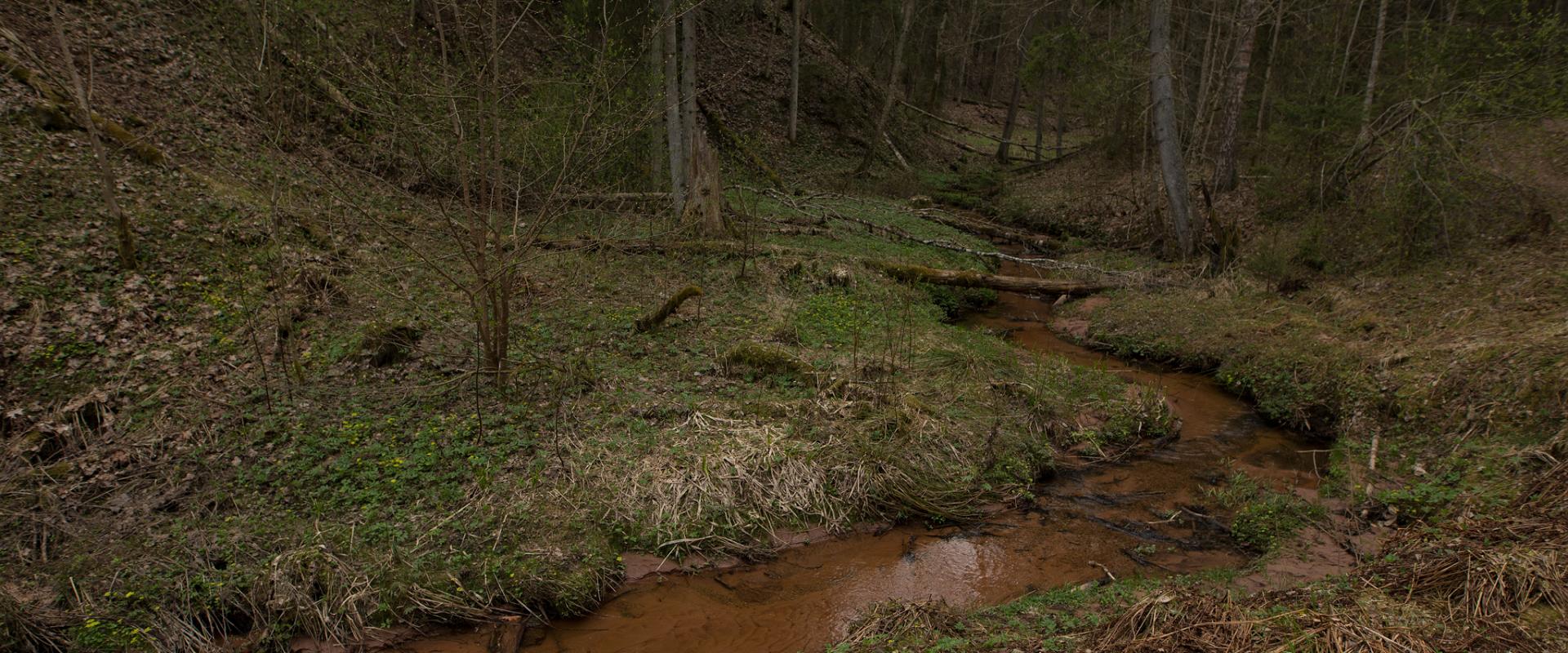 Wanderweg im Urstromtal Loodi