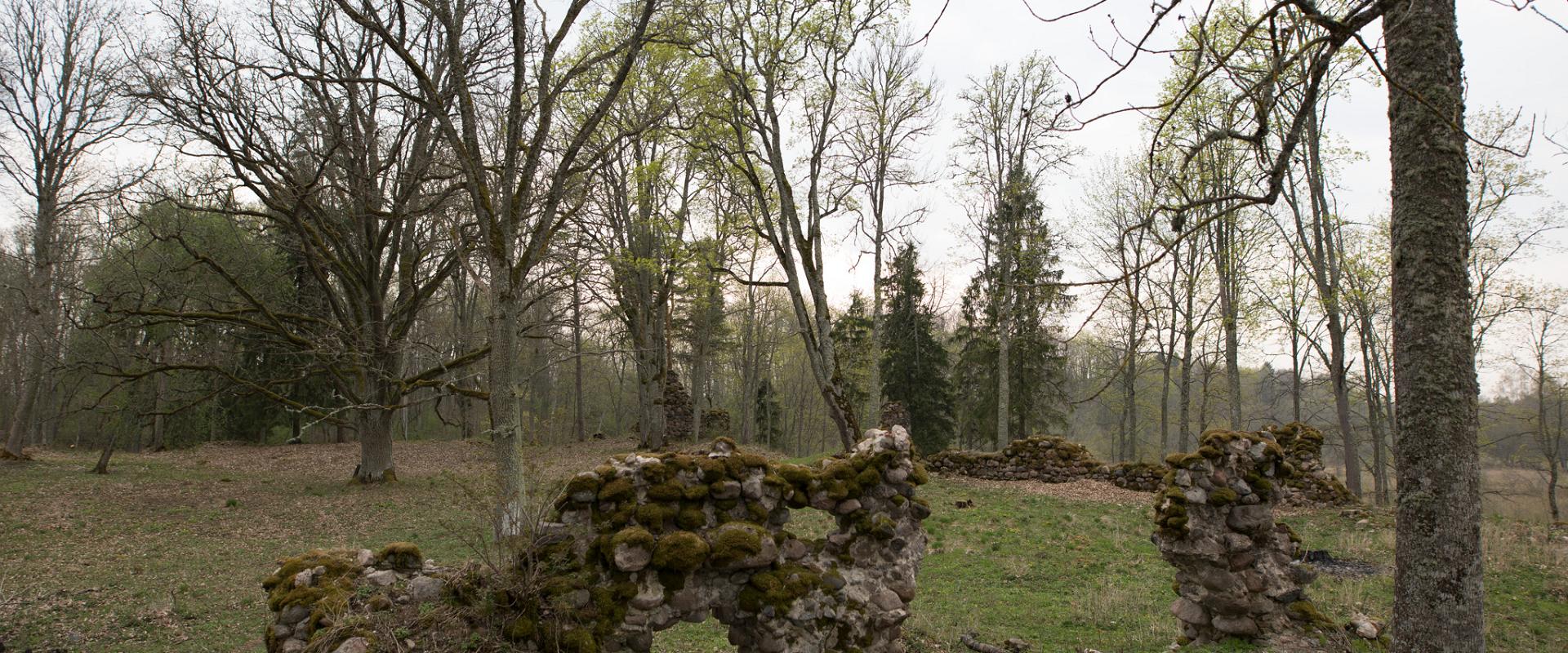 Die Ruinen vom Ordensschloss Tarvastu