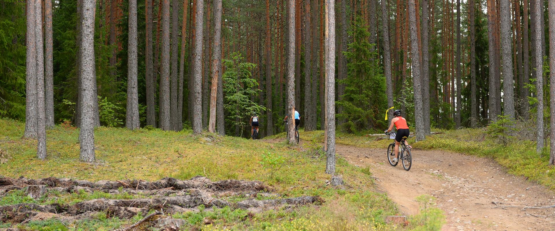 Die Fahrradstrecke Agusalu ist eine Rundstrecke, die im Nationalpark Alutaguse in Ida-Virumaa verläuft. Die Gesamtstrecke beträgt 38 km und beginnt un