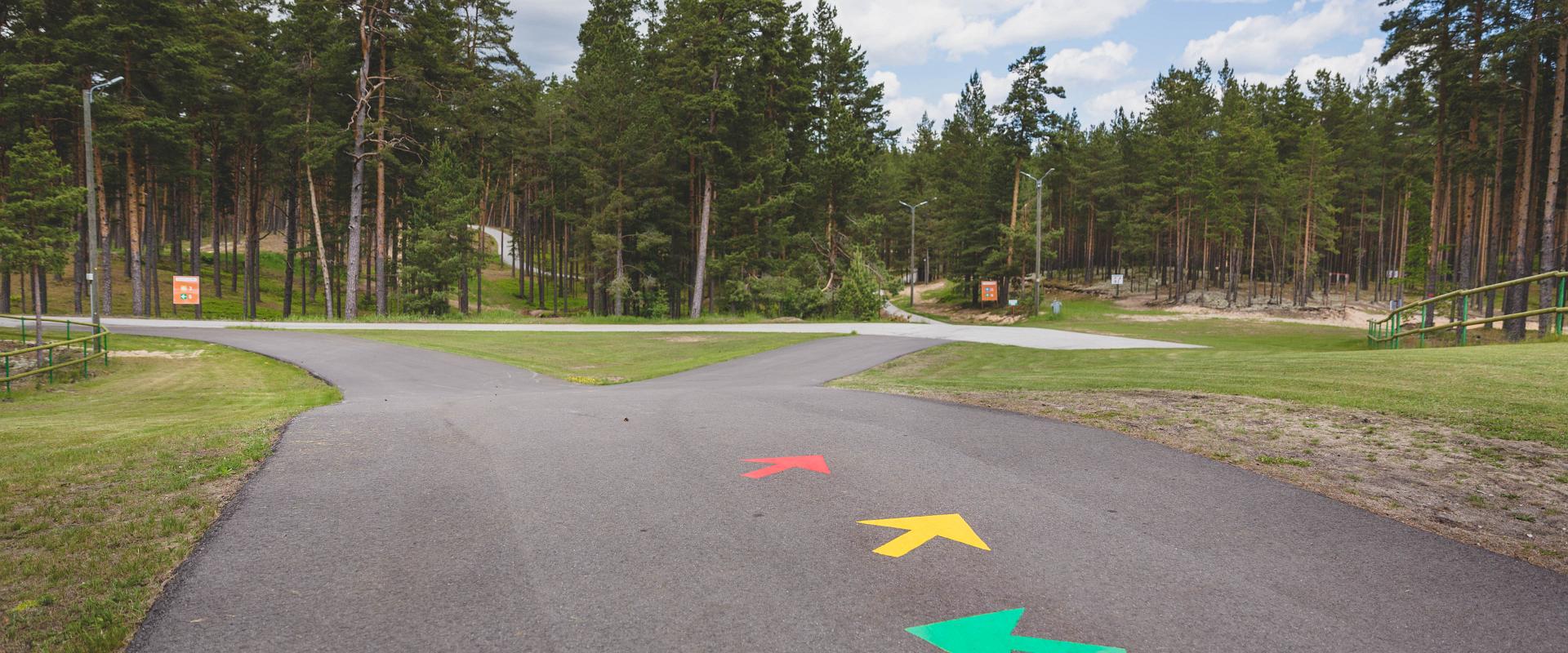 Mountain bike trails in the pine forests of Jõulumäe Sports and Recreation Centre