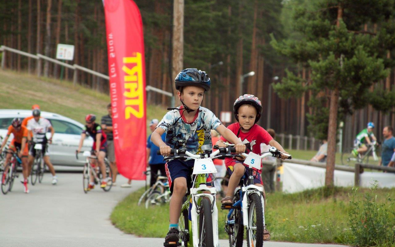 Mountain bike trails in the pine forests of Jõulumäe Sports and Recreation Centre