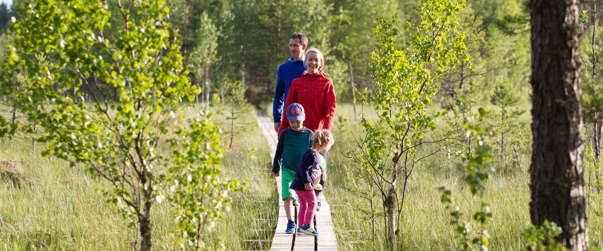 The Kotka hiking trail showcases different types of bogs and other wetland features. It passes by a sand ridge which developed over thousands of years