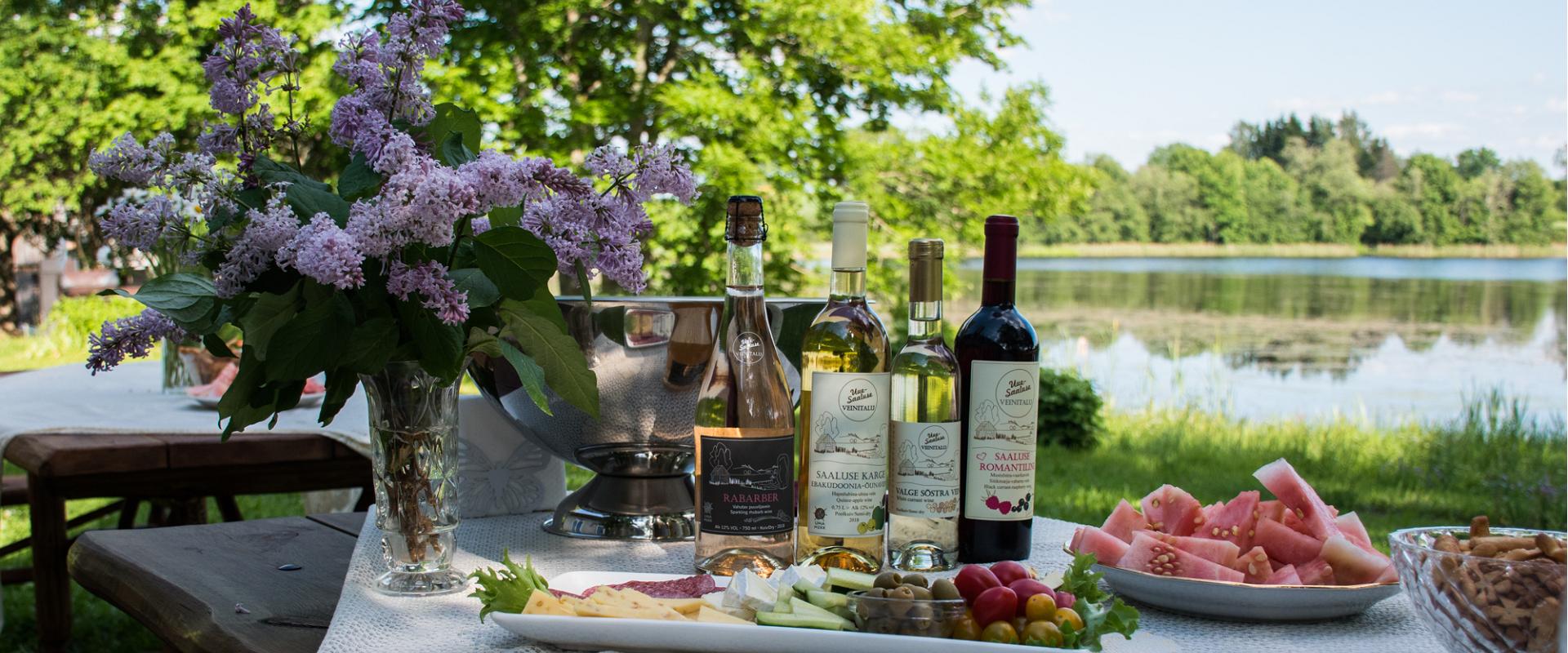 Estonian Wine Route Tour and a beautiful snack and wine tasting table in summer