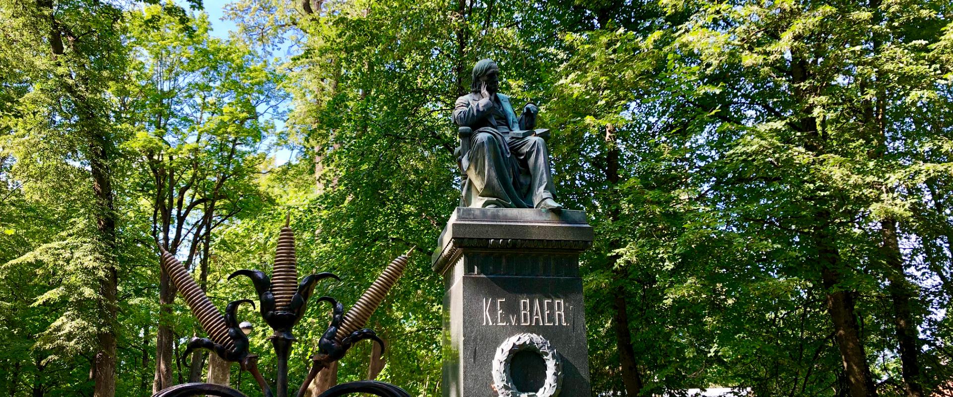 Das Denkmal für Karl Ernst von Baer