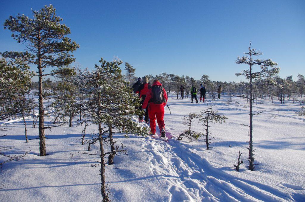 Alutaguse Matkaklubi räätsamatk Selisoo rabas