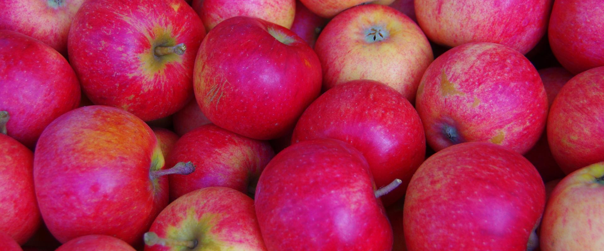 At Türi Apple Festival, you can buy and taste apples, and ask for advice from specialists. Participants will offer pastries, preserves, snacks, drinks