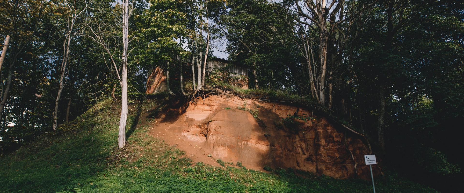 Sandstone outcrop in Viljandi Castle Park