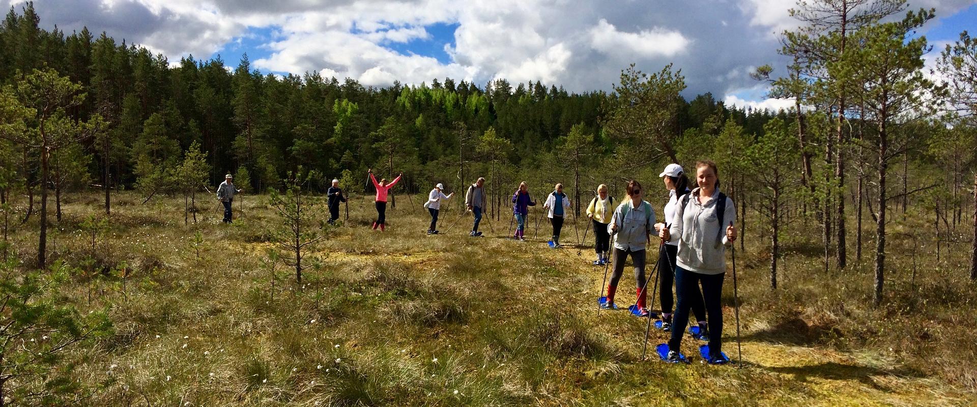 Summer and winter bogshoe hikes in Valgesoo bog