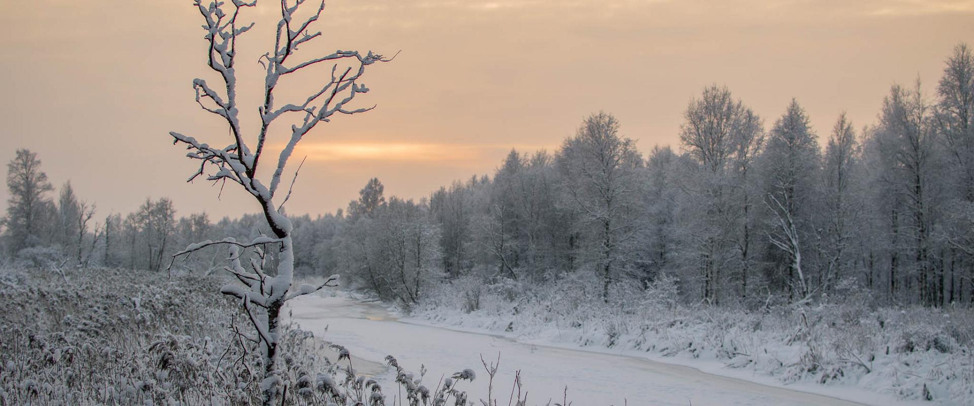 Rutkaste hiking trail