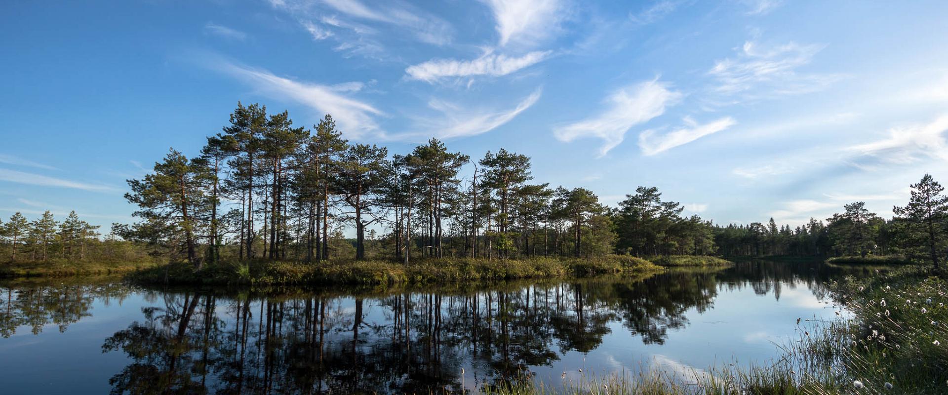 Laugas Ohepalu järve lähedal