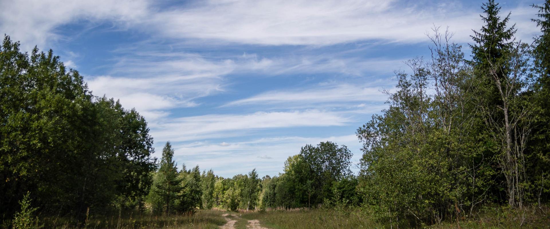 Rutkaste hiking trail