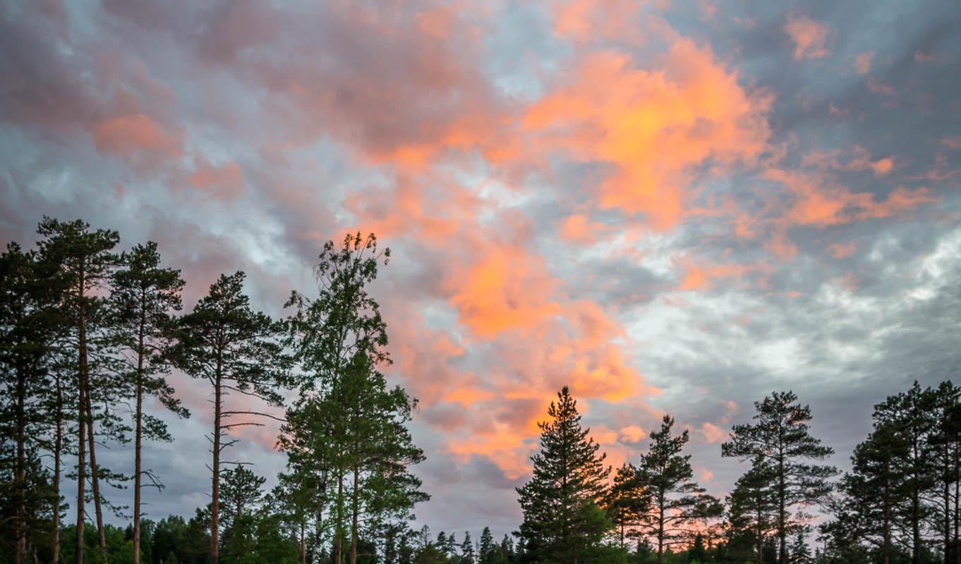 Raba ohepalu järve ääres