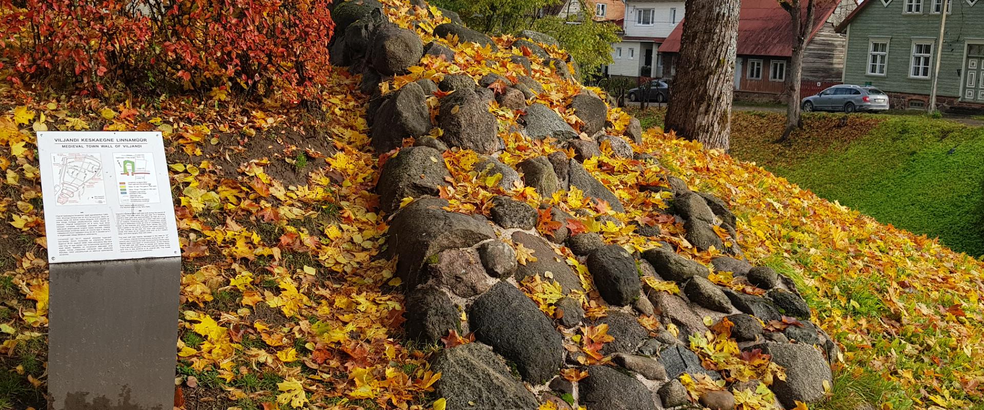 Viljandi medieval city wall