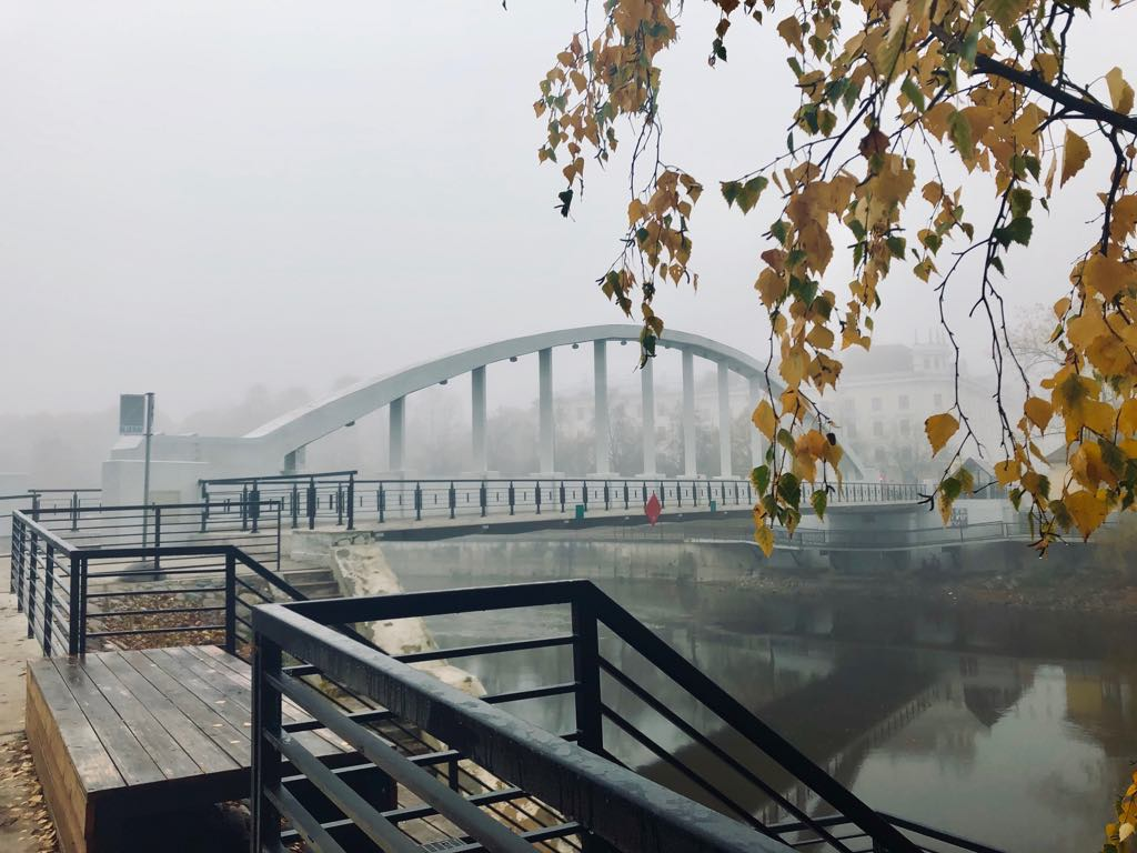 Die Bogenbrücke im herbstlichen Nebel und gelbe Birkenblätter