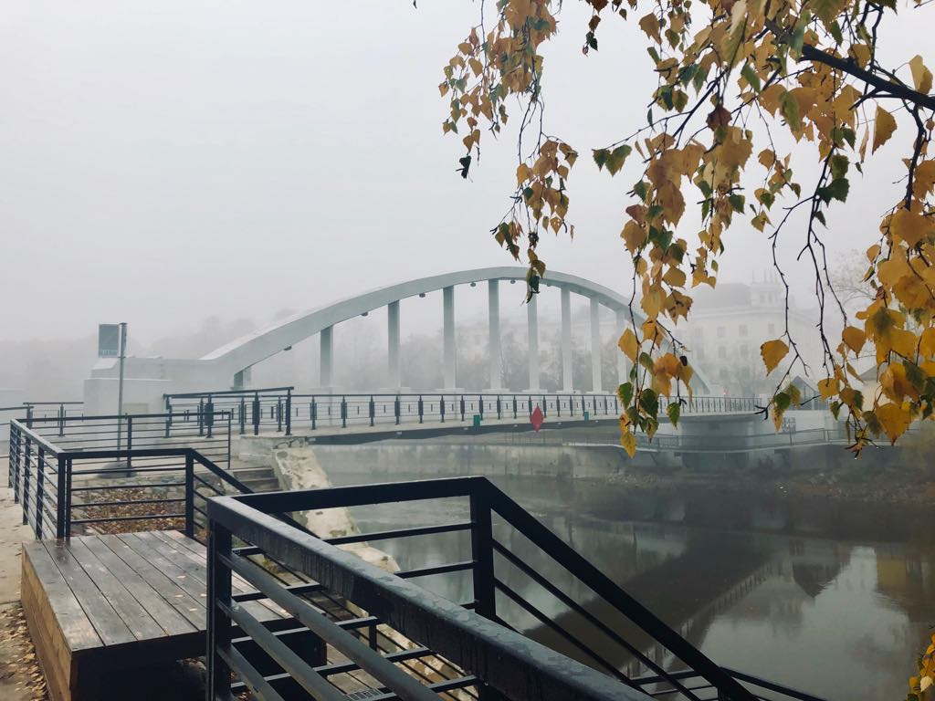 Arch Bridge in autumn fog and yellow birch leaves