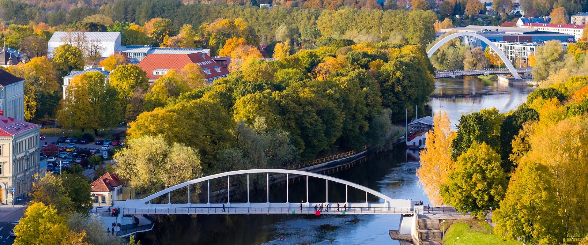 Arch Bridge and the Emajõgi River in green tones