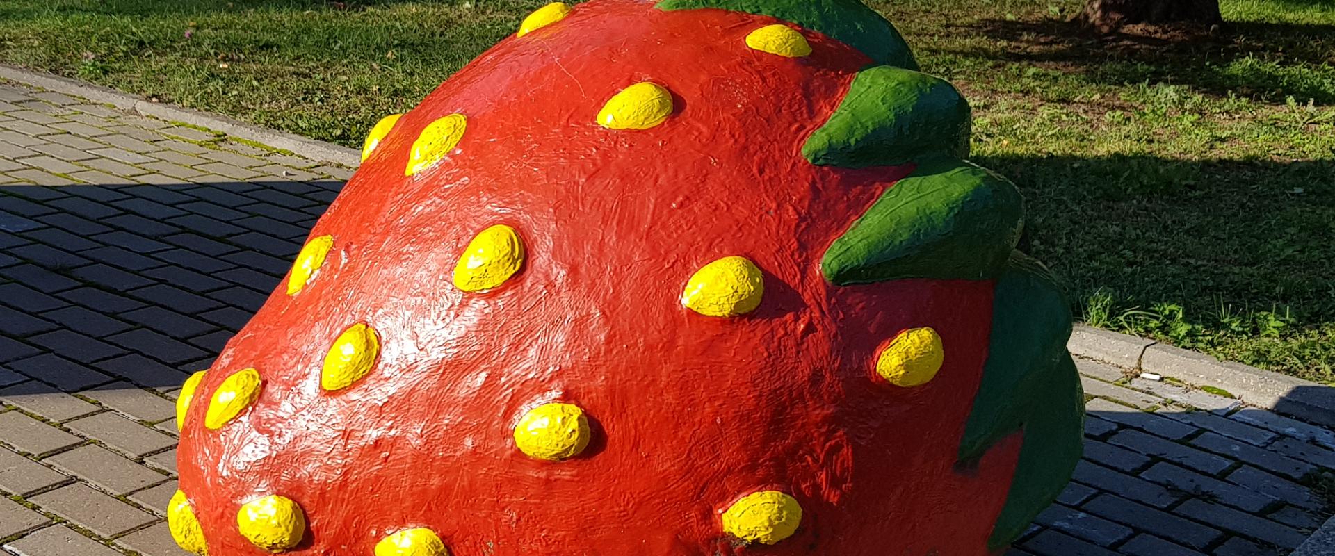 Strawberries in Viljandi