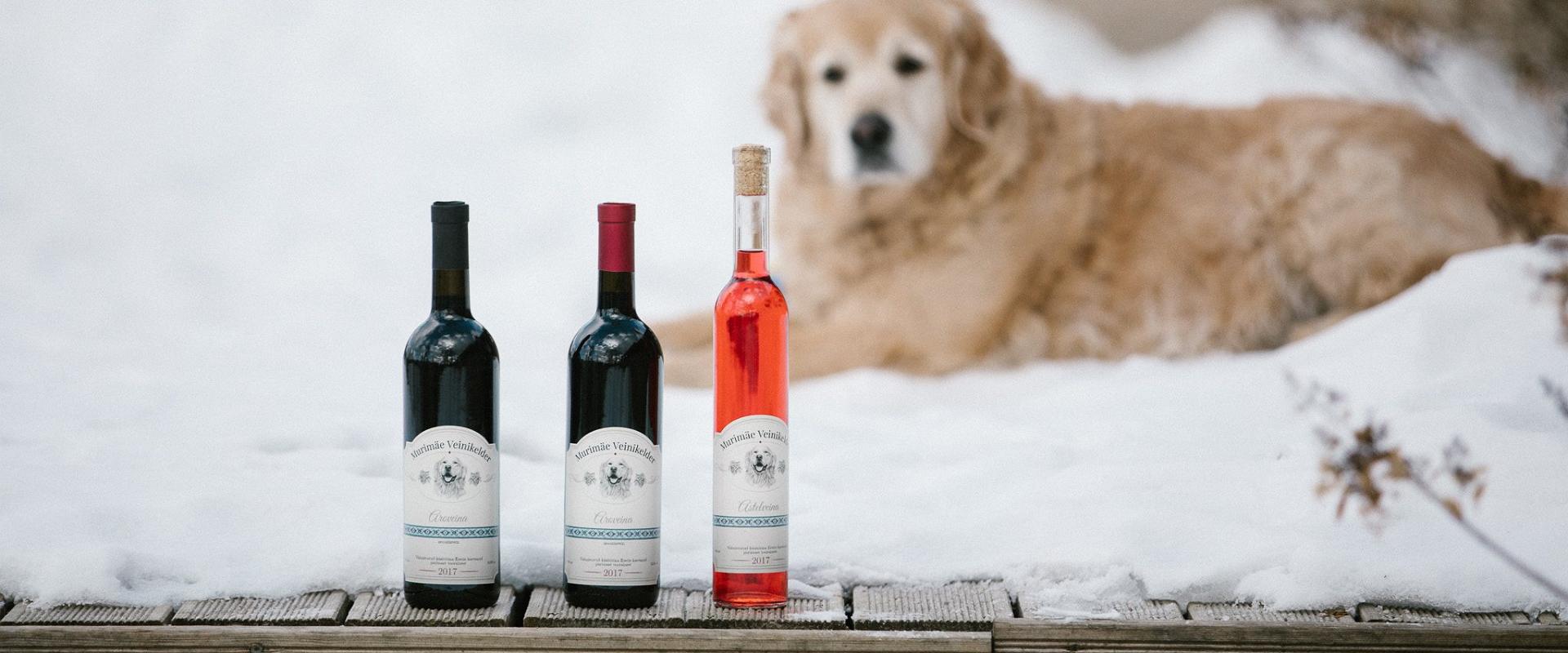 Hund im Schnee und das Produktsortiment des Weinhofs Murimäe