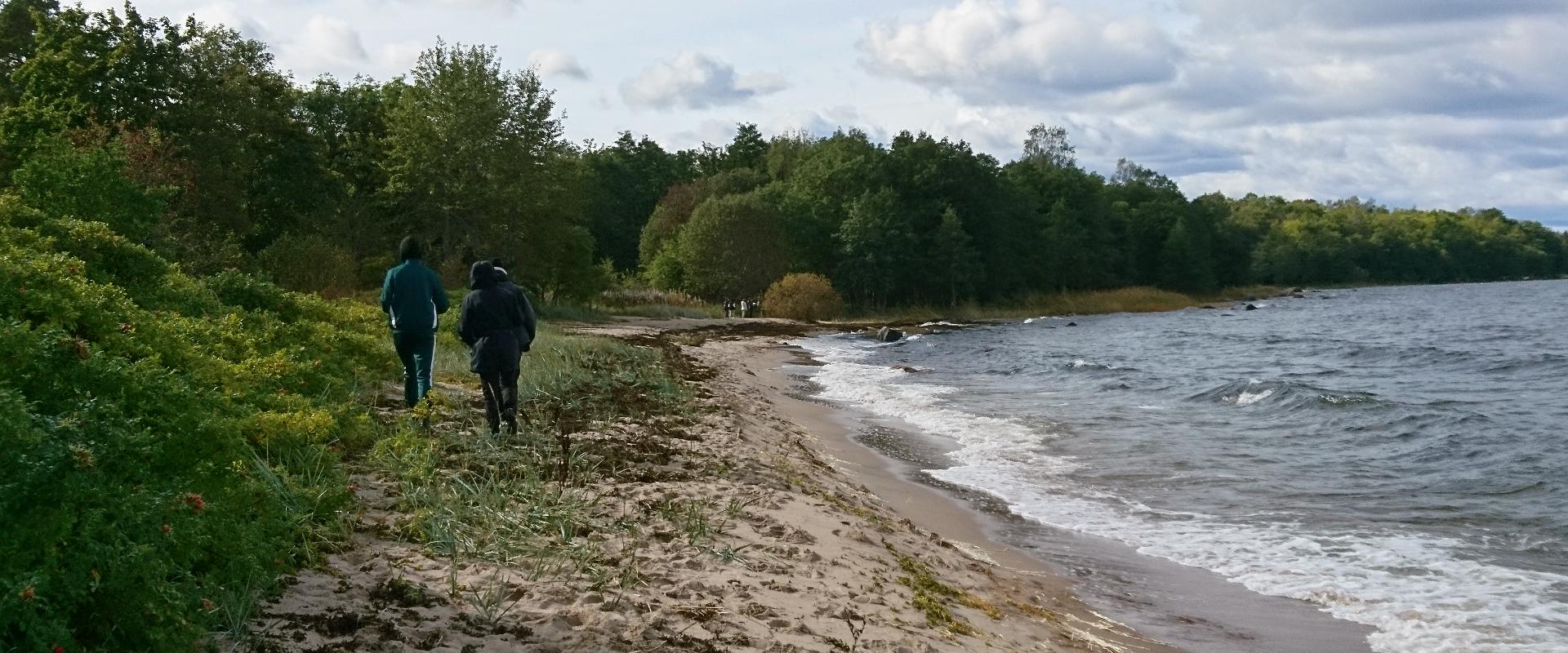 Meeskonnamäng "Seiklus Tsitre pargis"