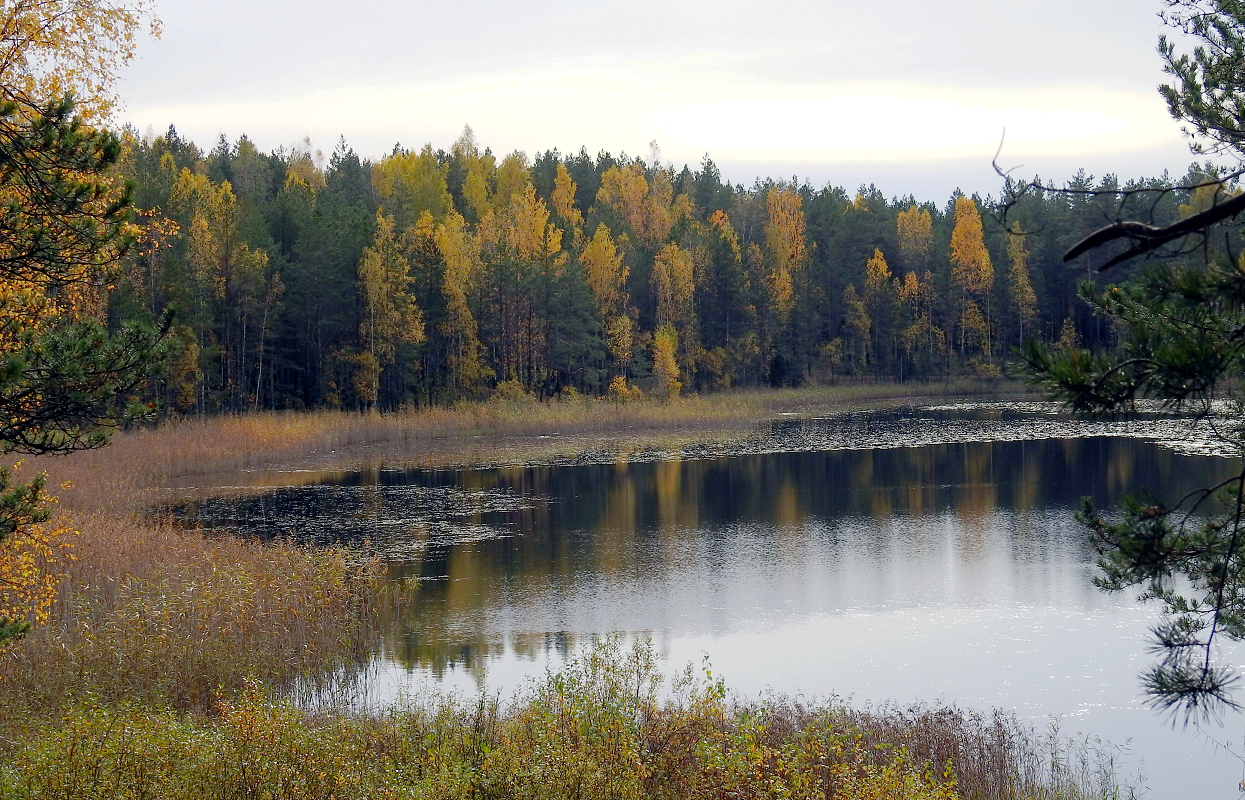 Jalgsimatk Kurtna järvestikus