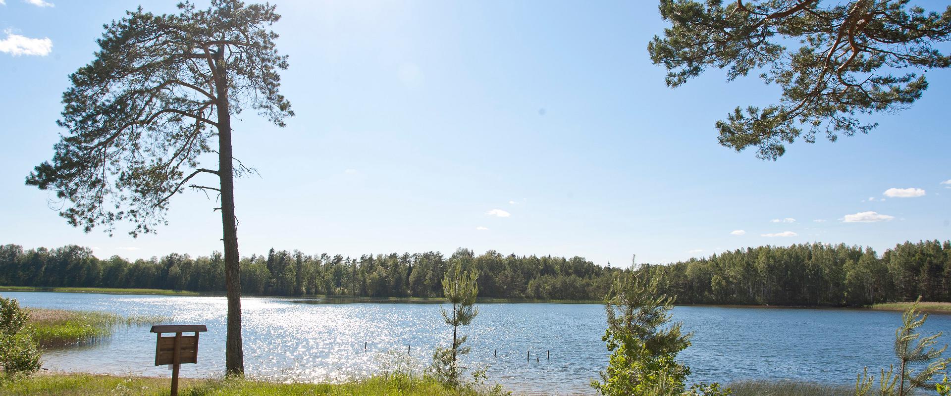 Giidiga jalgsimatk Kurtna järvestikus