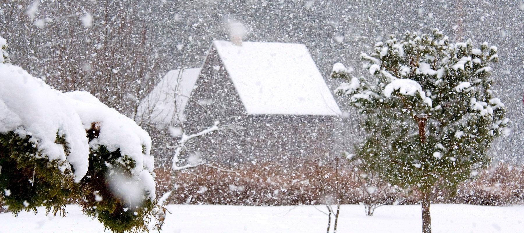 Roela Cone Hut Museum