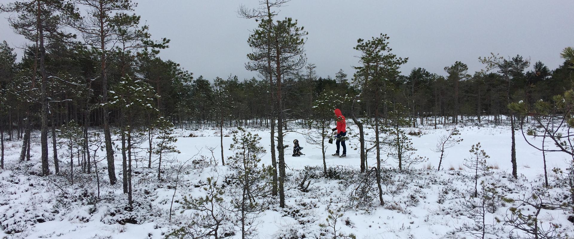 Alutaguse Matkaklubi räätsamatk Selisoo rabas