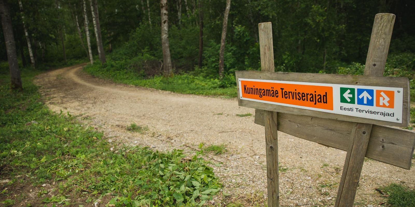 Kuningamäe terviserajad