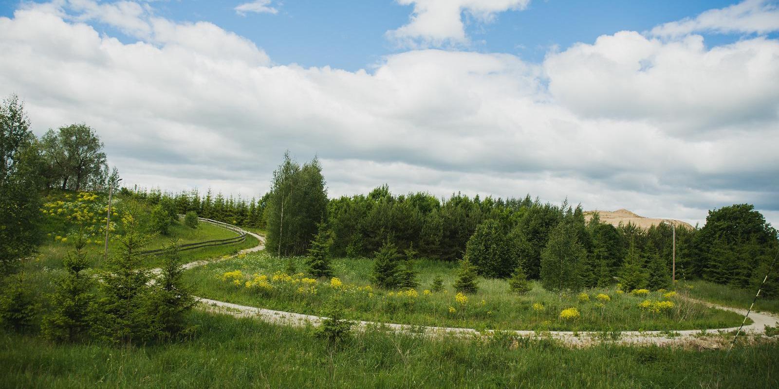 Kuningamäe terviserajad
