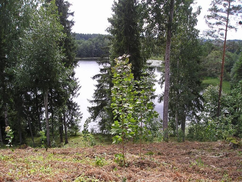Lõõdla puhkemaja