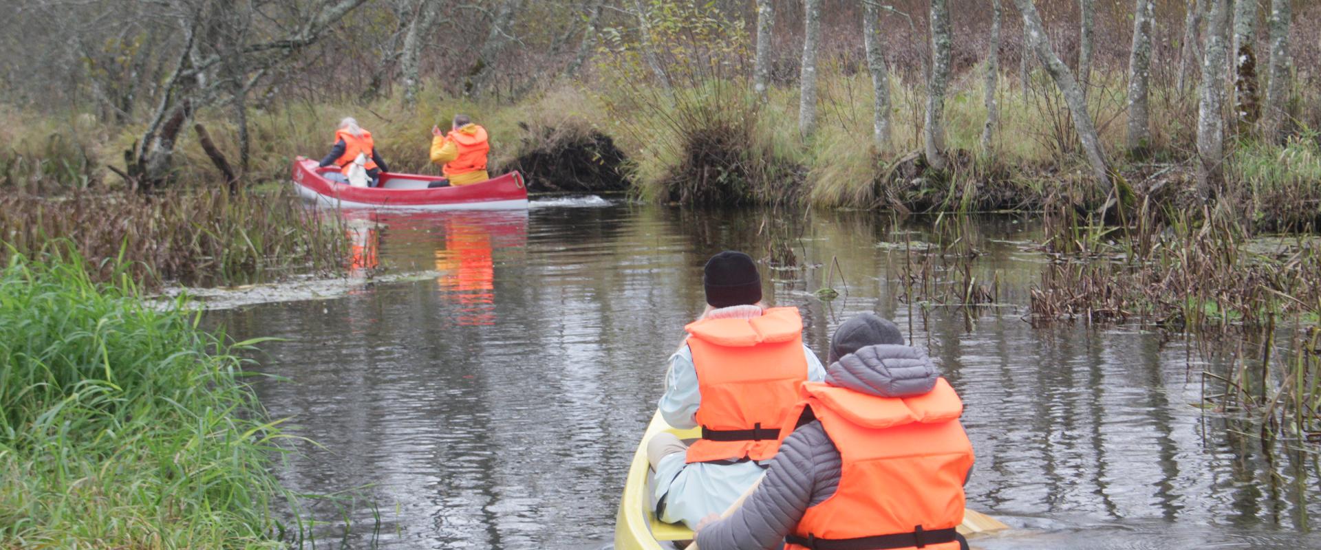 Canoe trip to a bog restaurant