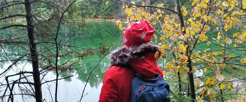 Puhta vee teemapark Metsamõisa talus