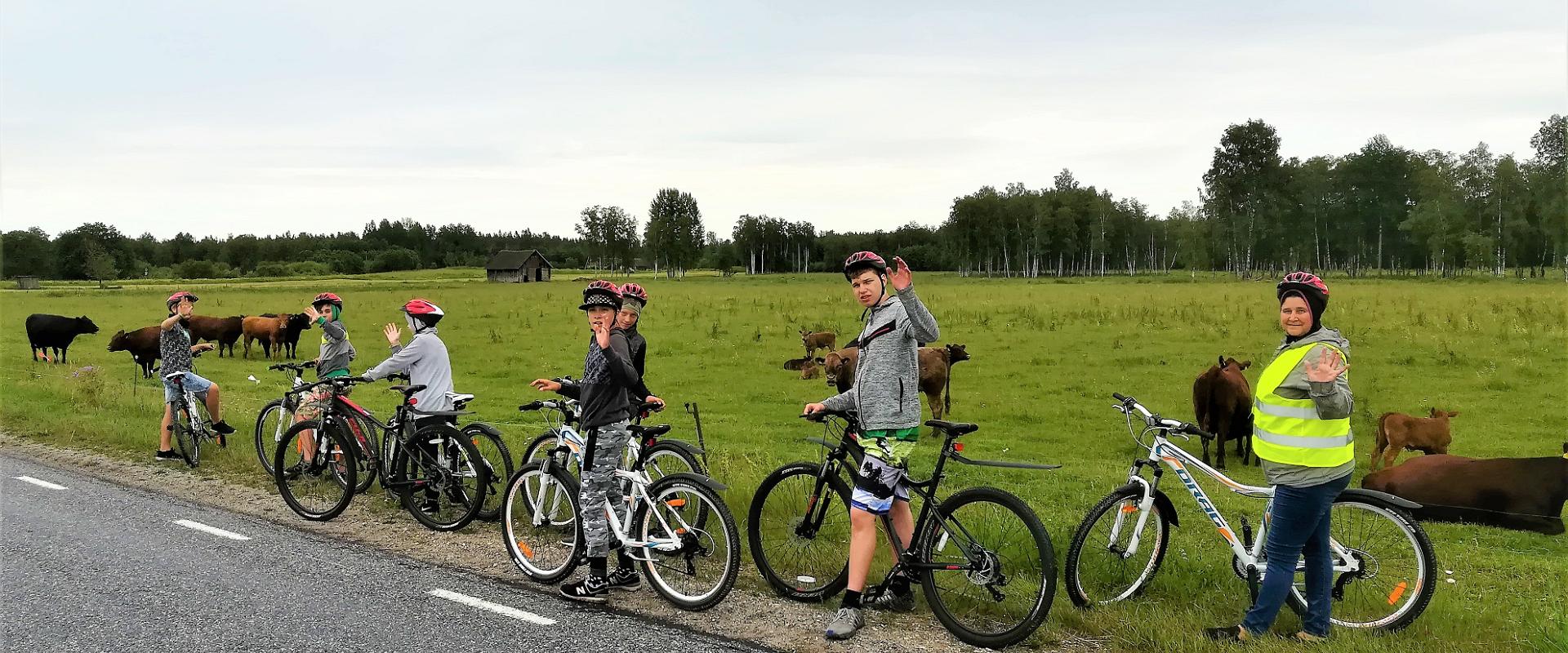 Jalgrattamatkad ja jalgrattaretked ning jalgrattarent Eestis